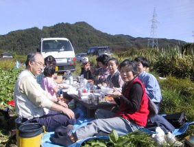 畑で食事