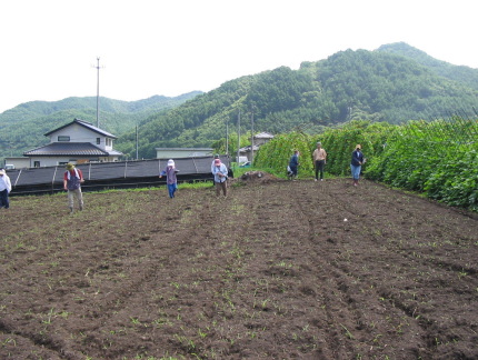 �����΂̎�܂�