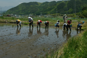 �c�A���ł�