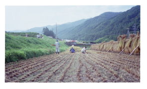 �����[�I�I