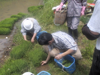 �c���ĂɈڂ��܂�