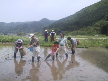 ���������Ȃ���[