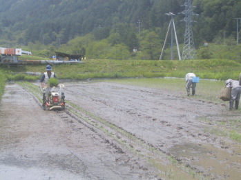 �͂₢���c�A���@