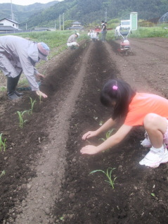 �Ƃ����낱���̕c�ł�