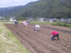 �Ƃ����낱���A��