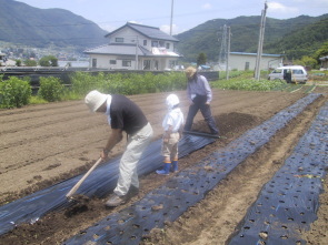 �r�j�[���V�[�g����ɒ���