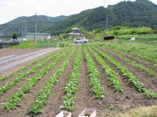 ����������[