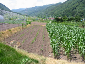 �ڂ������̎��n�͂X������[