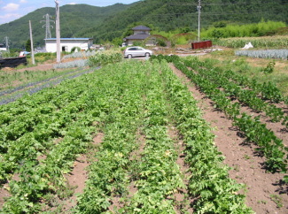 �������񂳂�