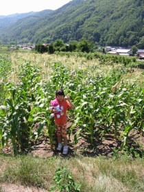 �䂫���傫����