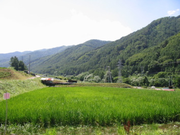 ������̂Ƃ���