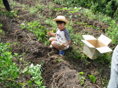 �ڂ��̓W���K�C���x��