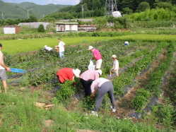 ���ނ�����Y�ꂸ��