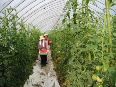 �g�}�g���L��