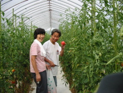 ���̂܂܂��Ԃ�ł�