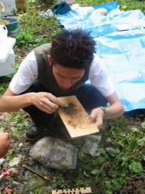 �R�D�Ύ�Ɉڂ��܂�