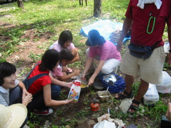 �P�D���Ȃ�n���܂�