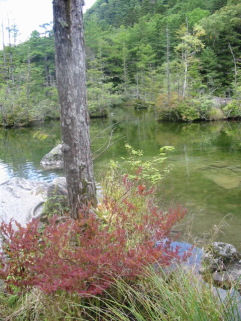 �����H������ė��Ă��܂�