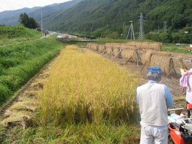 ���ꂾ�����݂�ȂŊ���܂�