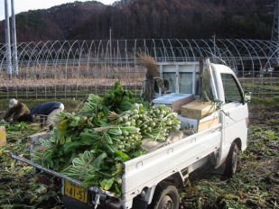 �m���̌y�g���͎��n���ł����ς�