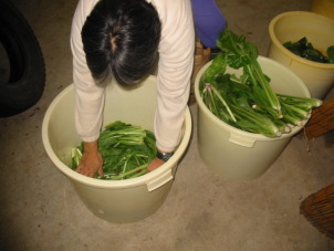 ���ɒЂ��邩�ȁ[