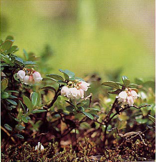 �R�P����