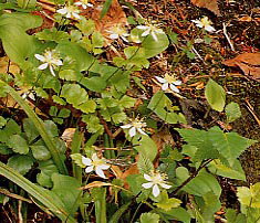 �~�c�o�I�E����