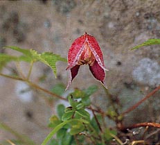 �~���}�n���V���E�d��