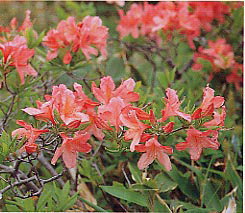 �����Q�c�c�W