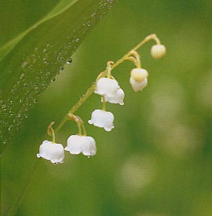 �X�Y����