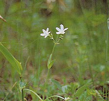 �^�K�\�f�\�E