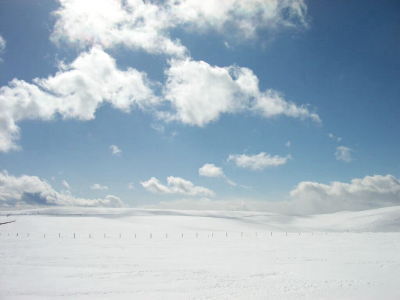 冬の雪原（イメージ）
