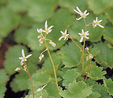 �~���}�_�C�����W�\�E