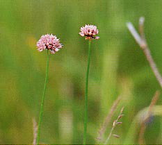 �~���}���b�L���E