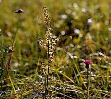 �^�J�l�A�I���M�\�E