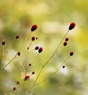 �������R�E