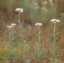 ���}�n�n�R