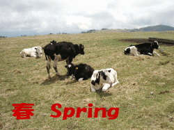 春イメージ