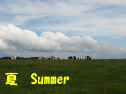 夏イメージ