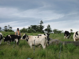 ������X�y�V����