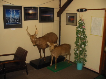 ������ƒɂ�������