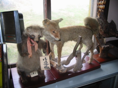 �ǂ������K���[�H�H