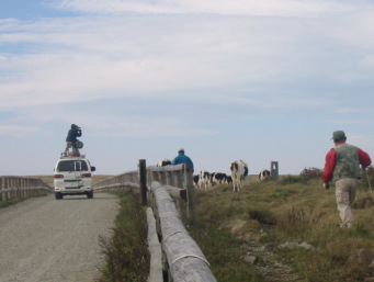 �e���r��������