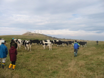 �����ǂ��Ă��܂�