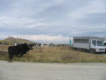 �A�肽���Ȃ���[�ڂƂڂƁi�H�j