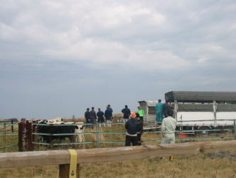 �Ԃɏ�肽���Ȃ���[