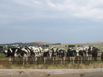 �o�Ȃ����܂�(^.^)